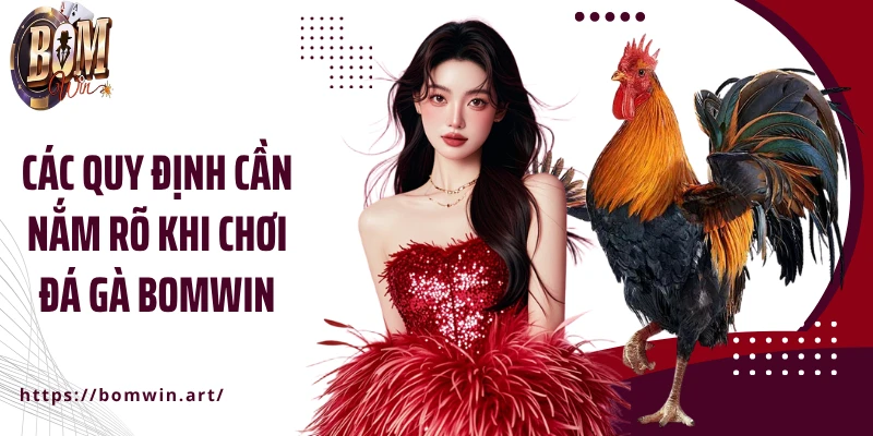 Các quy định cần nắm rõ khi chơi đá gà Bomwin